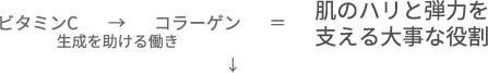 ビタミンCがコラーゲン生成を助ける働きを持ち肌にハリと弾力を支える大事な役割