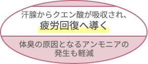 プロテオグリカンが細胞を活性化させ、ヒアルロン酸やコラーゲンの生産をサポート！