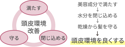 プロテオグリカンが細胞を活性化させ、ヒアルロン酸やコラーゲンの生産をサポート！