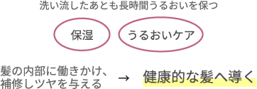 プロテオグリカンが細胞を活性化させ、ヒアルロン酸やコラーゲンの生産をサポート！