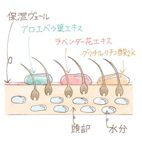 アロエベラ葉エキス、ラベンダー花エキス、グリチルリチン酸2K配合の保湿ヴェール　イメージ