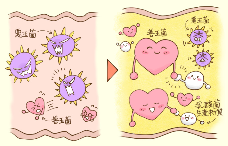 血行促進　イメージ