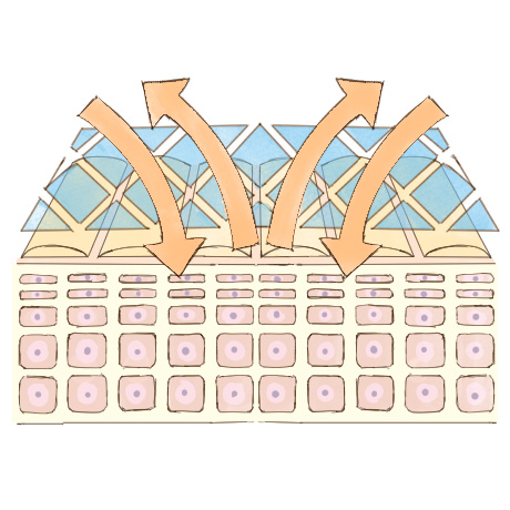 メッシュ効果で皮膚呼吸を妨げない　イメージ