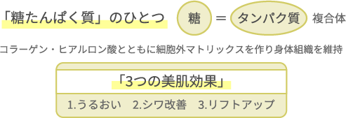 糖たんぱく質の一つで３つの美肌効果を持つ。１、潤い。２、しわの改善。３，リフトアップ