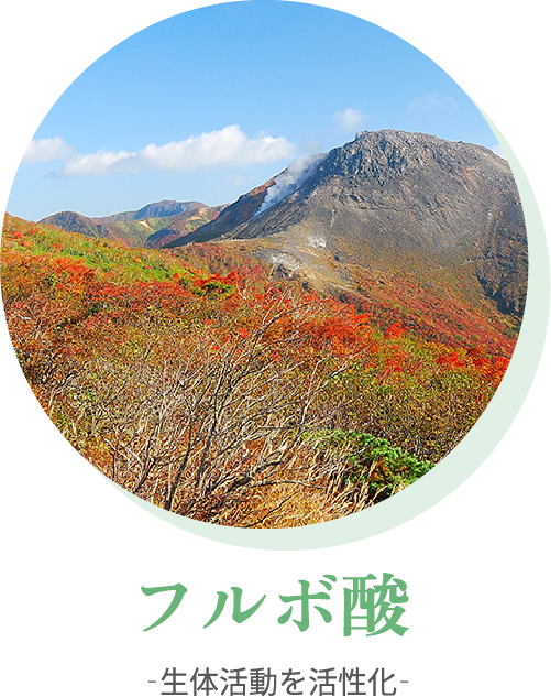 活性酸素と水素が結びつき水分を生成するイメージ