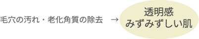 毛穴の汚れ・老化角質の除去が透明感のあるみずみずしい肌